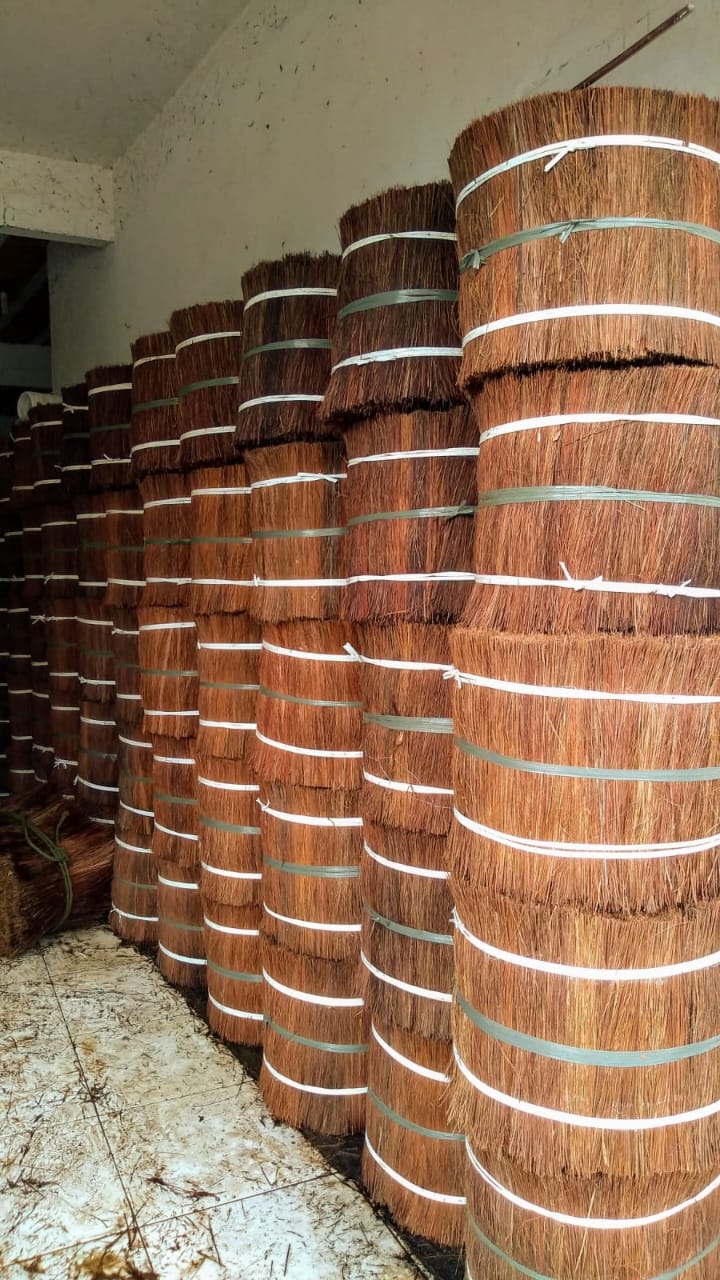 Piaçava natural cortada e penteada para fabricação de vassouras artesanais sustentáveis - Bahia Piaçava